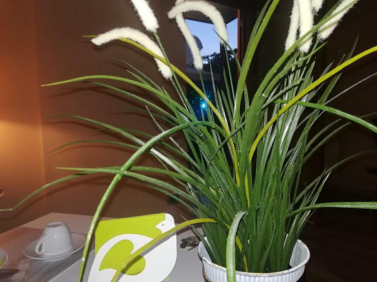 B&B Elisir Rzym Zewnętrze zdjęcie